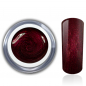 Mobile Preview: Colorgel Nagelgel Farbgel 5ml Döschen Fingernagel Künstliche Nägel Rot Tender RM Beautynails