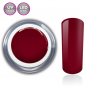 Mobile Preview: rot purpur fuchsia farbgel döschen rm beautynails
