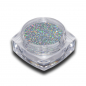 Preview: Hologramm Glitter Puder Silber Holo