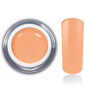 Preview: Farbgel Apricot RM Beautynails