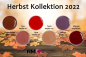 Preview: Premium Farbgel Herbst Kollektion 2022
