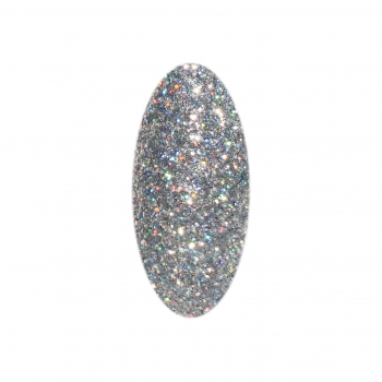 Hologramm Glitter Puder Star Silver