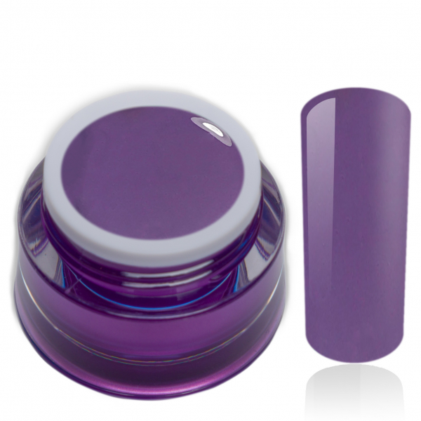 Premium Farbgel Ultra Violet