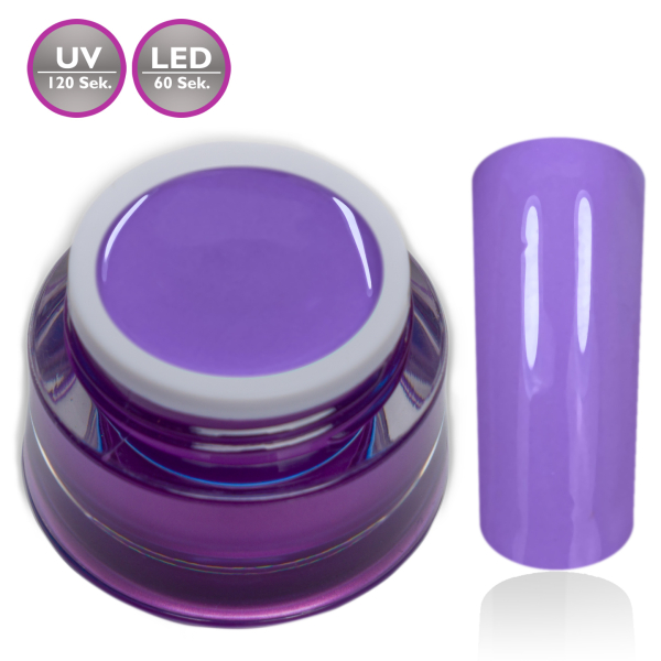 Premium Farbgel Purple Kiss