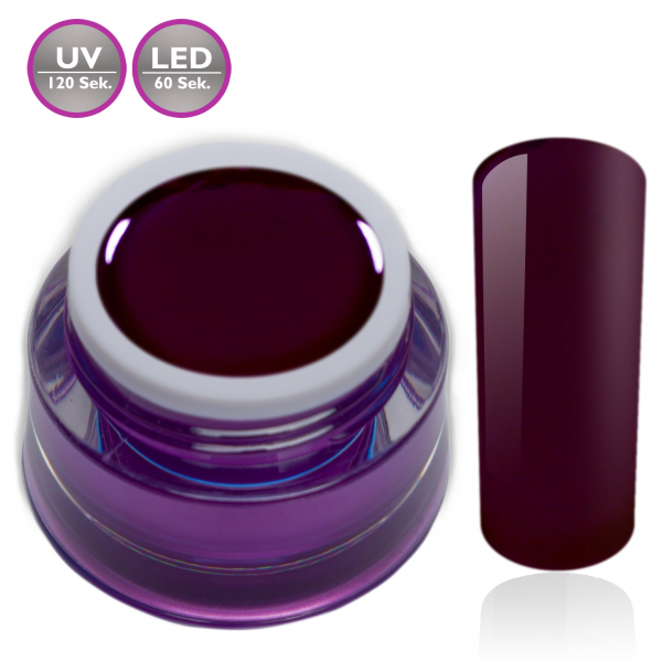 Premium Farbgel Dark Violett