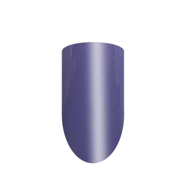 Premium Farbge Lila-Grau