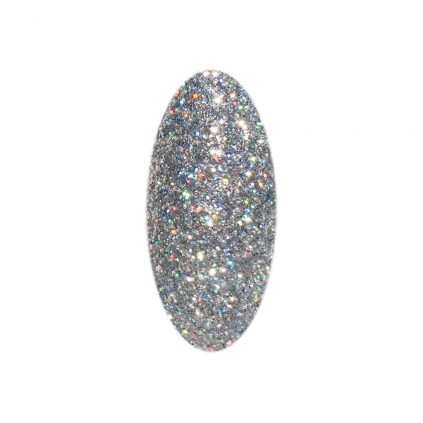 Hologramm Glitter Puder Star Silver