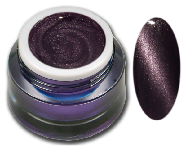 PREMIUM Cat Eye Magnetgel Berry