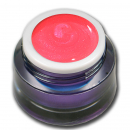 Premium Farbgel Neon Pink Deluxe 5ml