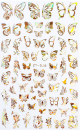 Schmetterling Holo Nagel Sticker Gold ZY 036