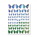 Schmetterling Holo Nagel Sticker Blau - Grün - Lila  ZY4013