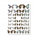 Schmetterling Holo Nagel Sticker ZY4020